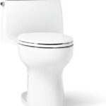 Sanitario de una pieza