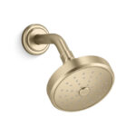 Cabeza de ducha tradicional