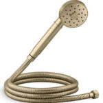 Ducha de mano transicional